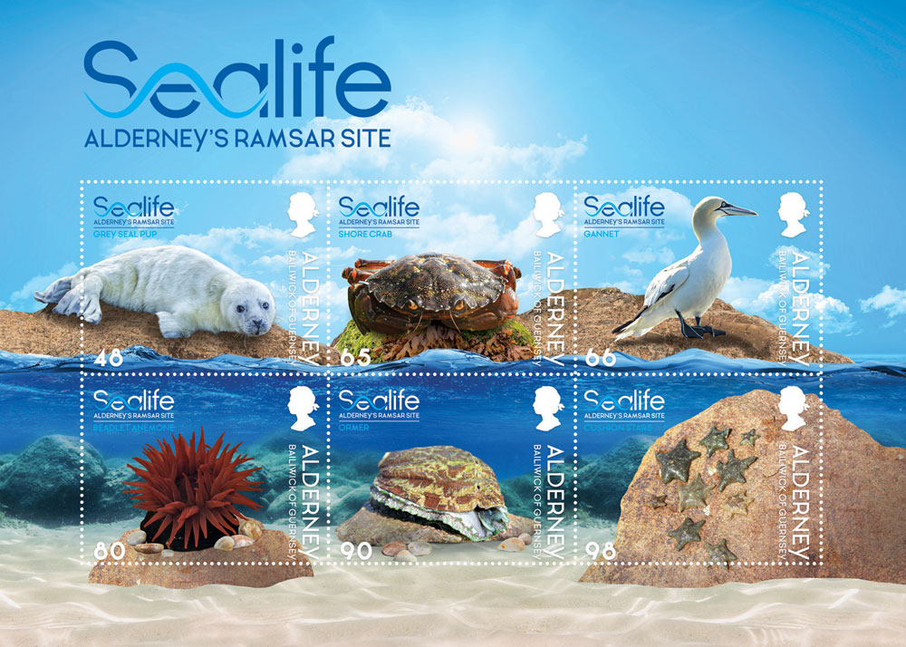 Guernsey Post depicts Alderney Sealife across stamps